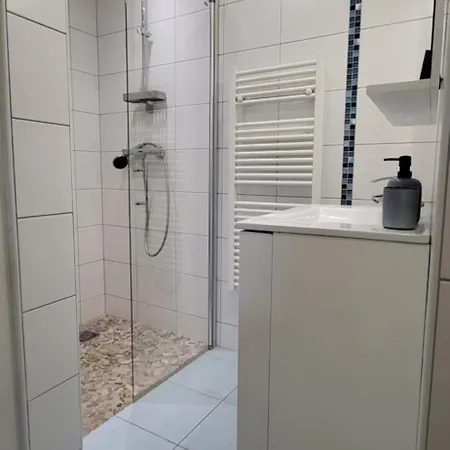 Lumineux 2 公寓 科尔马