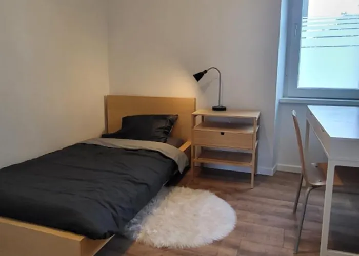 公寓 Lumineux 2 科尔马